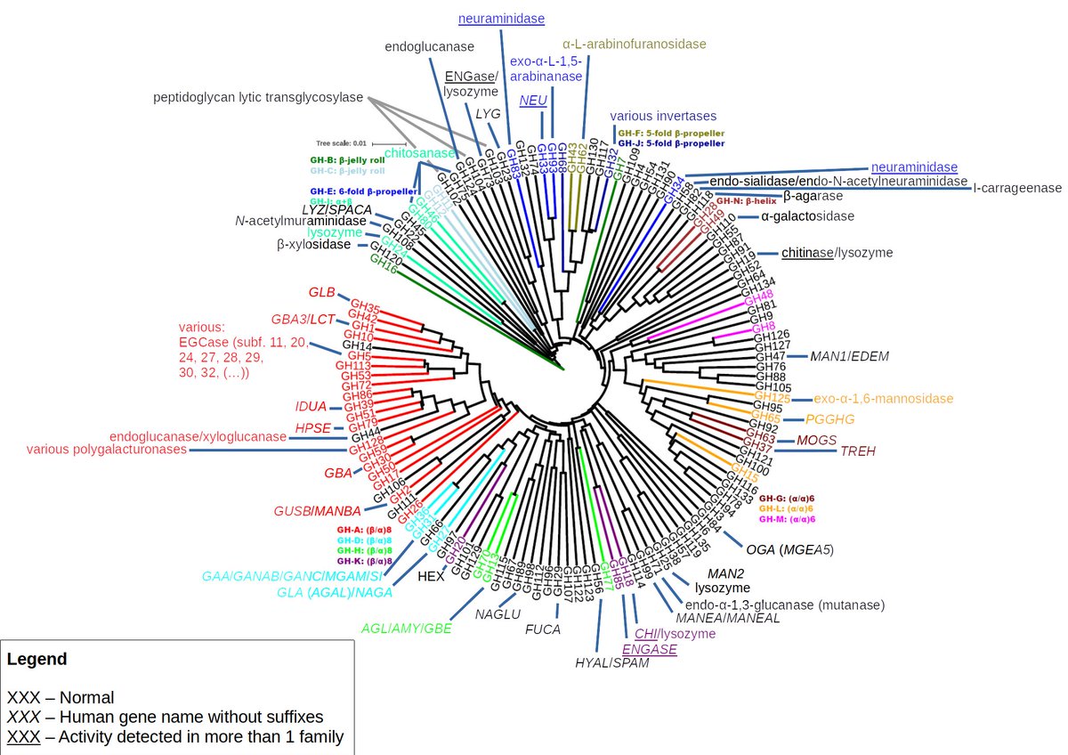 glycolukasz's tweet photo. Check out dbCAN (CAZy family) phylogenetic trees annotated with enzyme name/activity. Trees taken from https://t.co/8vZt6qhkrl

#glycotime #CAZy #evolution

I plan to add to &amp; update it from time to time, let me know about any mistakes/enhancements. Hope someone finds it useful! https://t.co/s6ZLkgs0BN