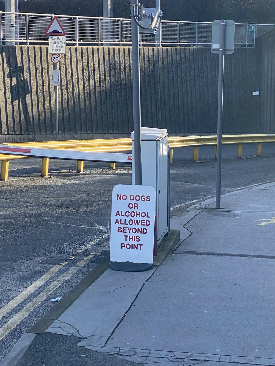 Mark Watson, still here but very much also Bluesky tweet media