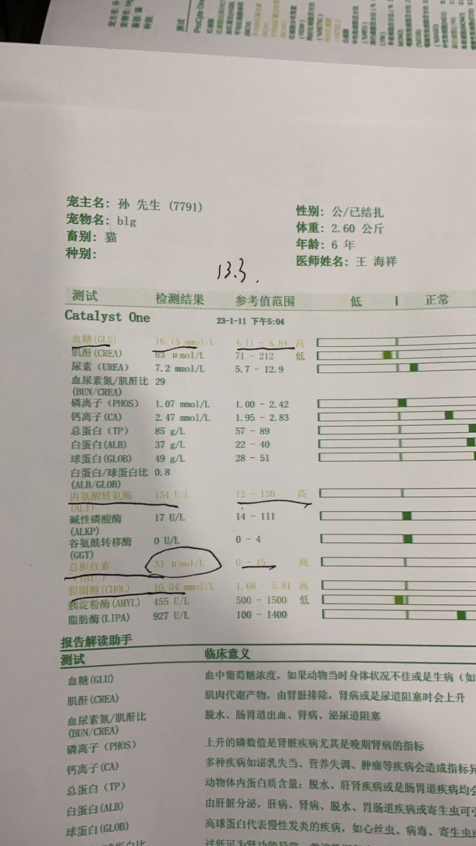 我家猫糖尿病了😳 https://t.co/Sq8GdV8j4r