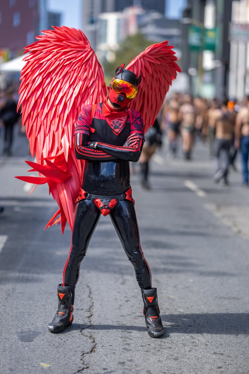 Pup Rally, MIR Photographer on Twitter: 