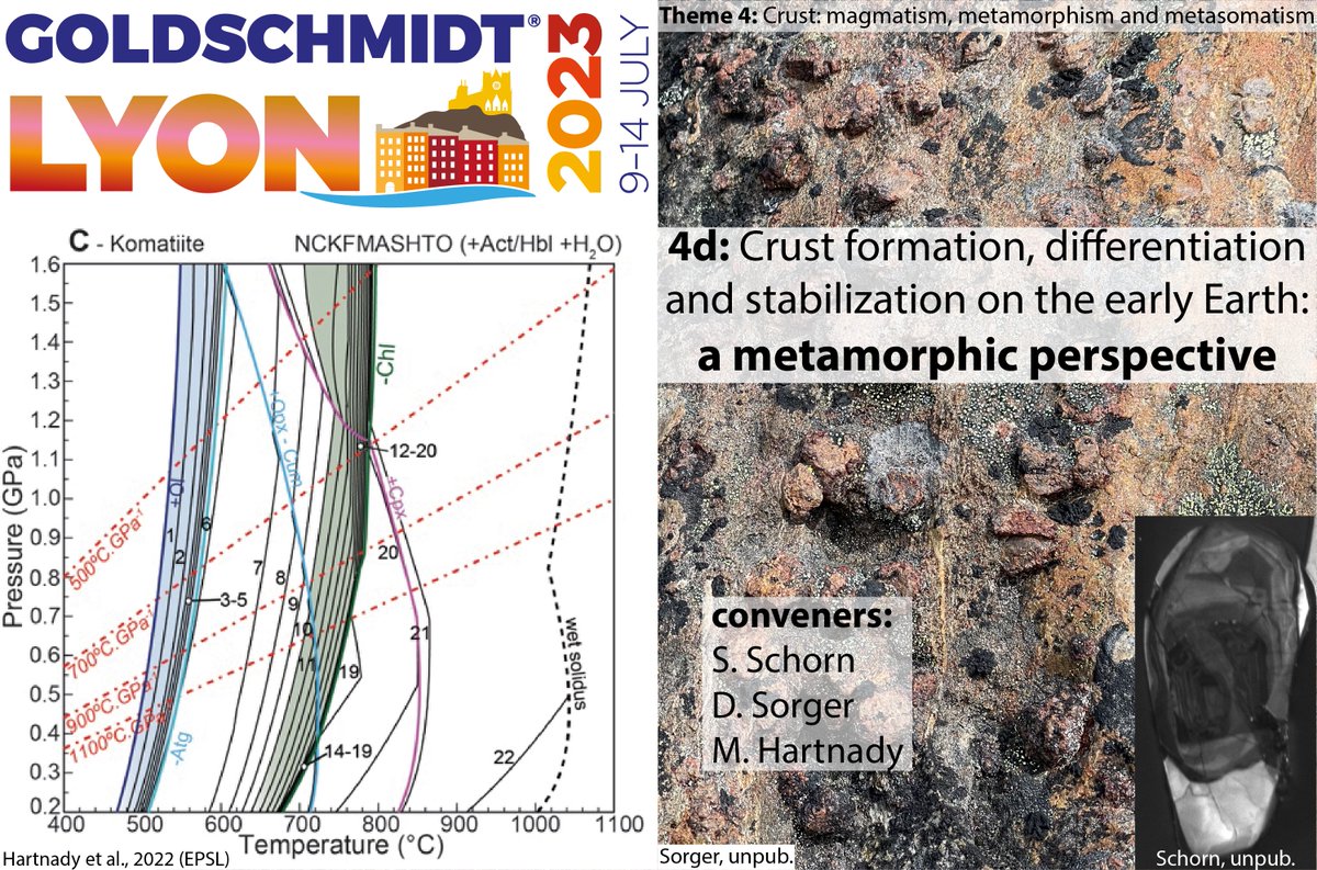 Simon Schorn tweet media
