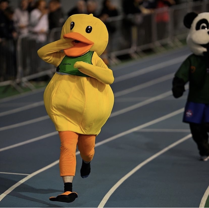 BUCSsport's tweet photo. Brian the Lion and friends return to Sheffield to compete in aid of the @dannyporterf ❤️

Entries are now open! Click below to donate and enter the most competitive race of the year 🦁👀

#BUCSNat10nals | @BUCSLion