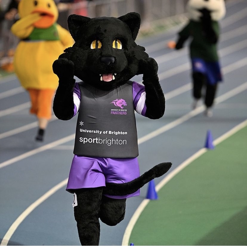 BUCSsport's tweet photo. Brian the Lion and friends return to Sheffield to compete in aid of the @dannyporterf ❤️

Entries are now open! Click below to donate and enter the most competitive race of the year 🦁👀

#BUCSNat10nals | @BUCSLion