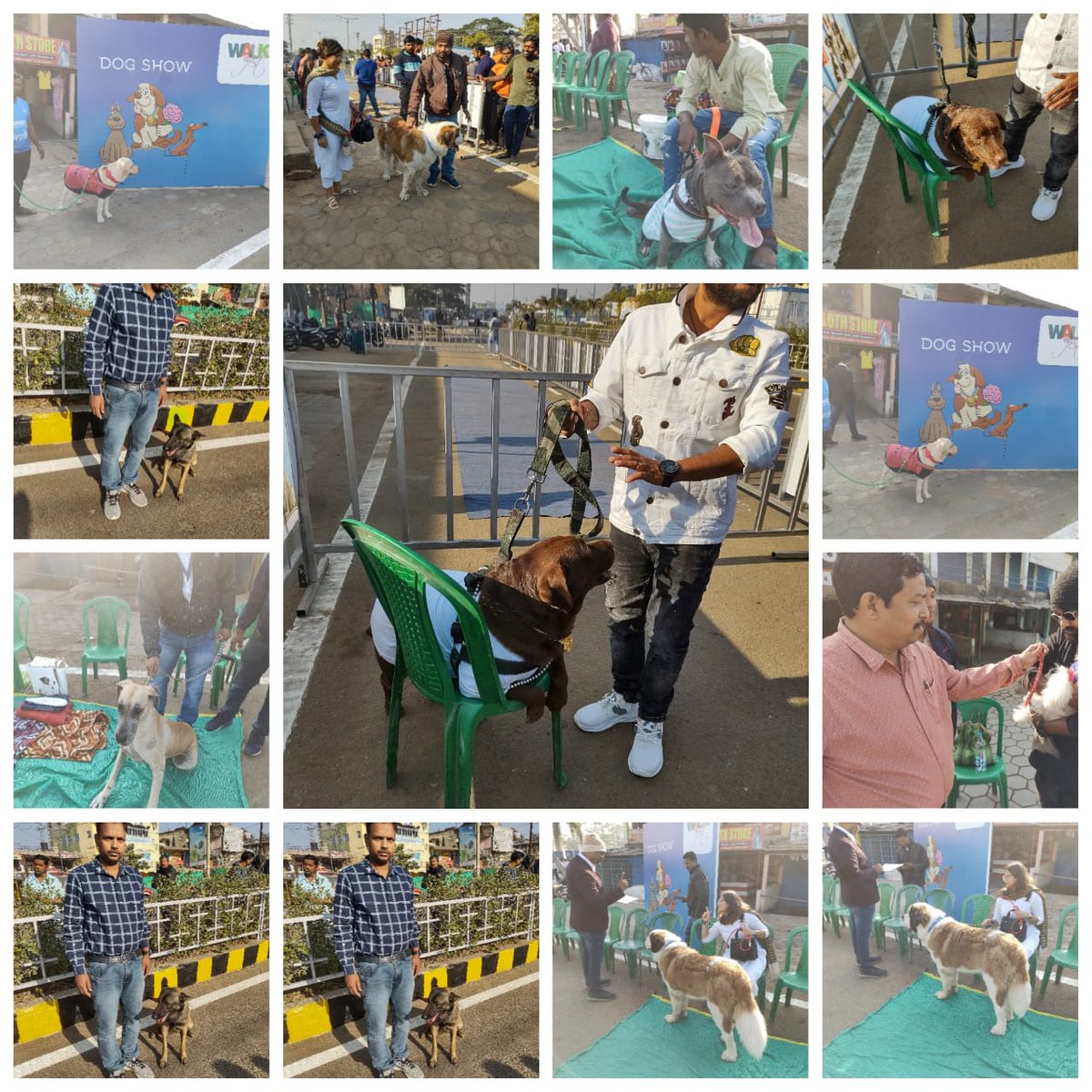 ArdBhadrak's tweet photo. DOG SHOW ON WALK IN FEST OF WORLD CUP HOCKEY TROPHY https://t.co/61YC4c5jV6