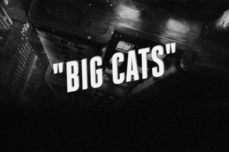 6iXthMaster's tweet photo. @bigcats_nft It’s bigger than just you and me…#8Lives                    Explore the wild! https://t.co/tAT8Sd9kKN