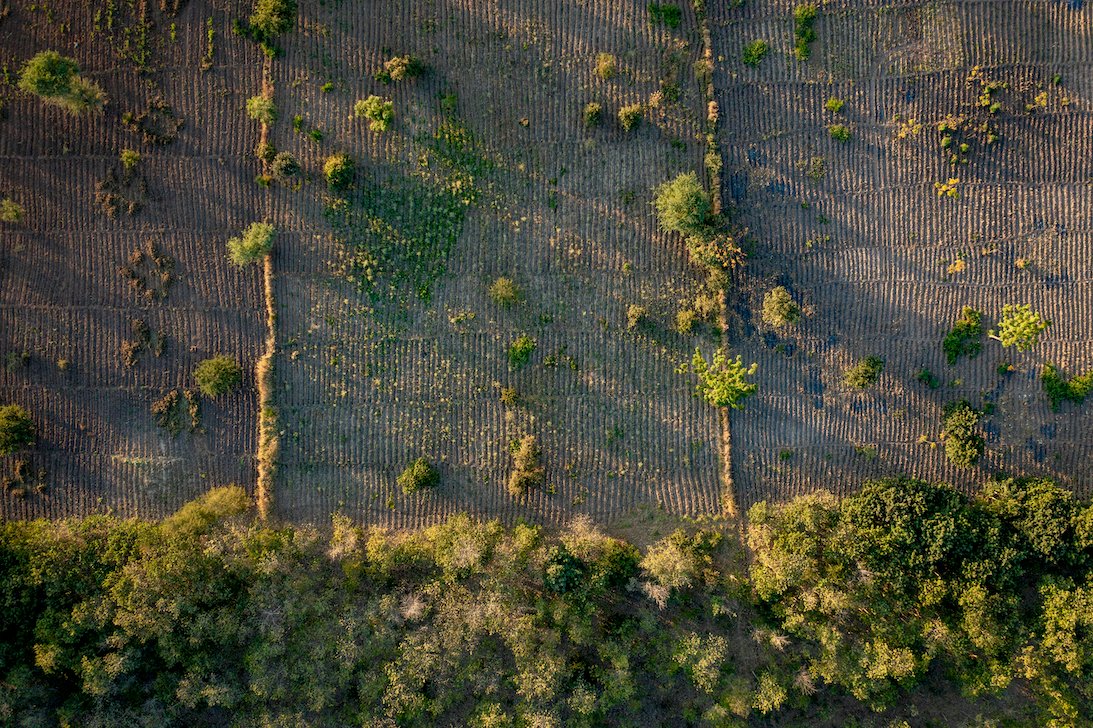 Leigh Ann Winowiecki (@lawinowiecki) on Twitter photo 👉50 chapters on Science and Innovations for Food Systems Transformation in Springer: bit.ly/3X2QMEy
Happy to have contributed to "A Whole Earth Approach to Nature-Positive Food: Biodiversity and Agriculture" led by Fabrice DeClerk
<a href="/LouiseOFresco/">Louise O. Fresco</a> @joachimvonbraun 👉50 chapters on Science and Innovations for Food Systems Transformation in Springer: bit.ly/3X2QMEy
Happy to have contributed to "A Whole Earth Approach to Nature-Positive Food: Biodiversity and Agriculture" led by Fabrice DeClerk
<a href="/LouiseOFresco/">Louise O. Fresco</a> @joachimvonbraun