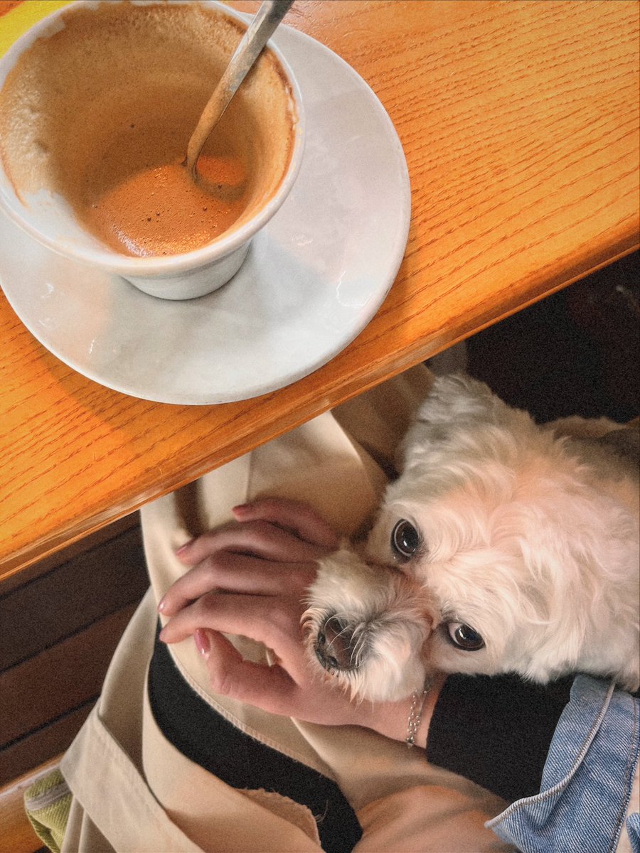 nneveena's tweet photo. #itstimeforcoffee ☕️🙆🏼♀️ https://t.co/QHJ1gs3mxh