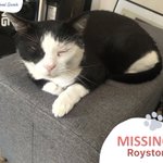 Photo by Animal Search UK (@AnimalSearchUK)