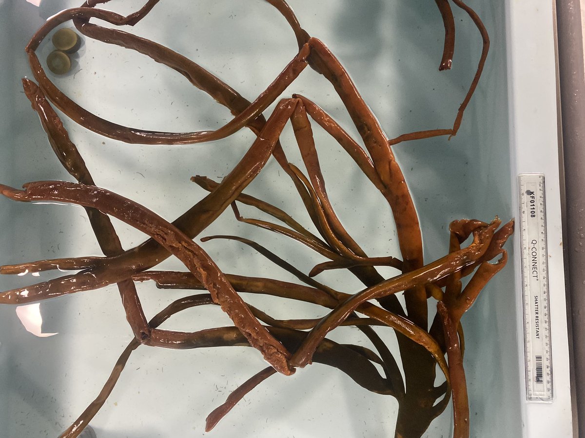 Emma Stuart tweet media