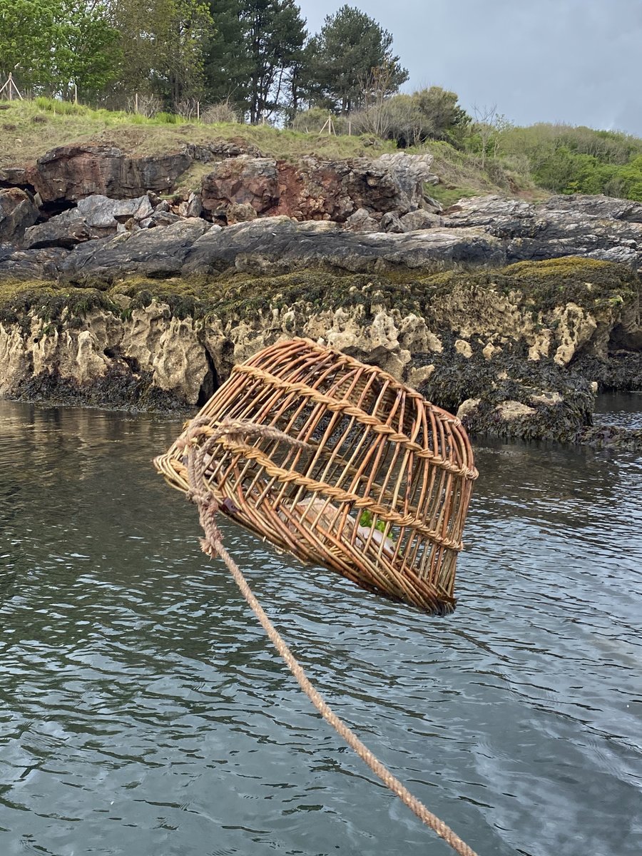 .@HeritageFundUK #HeritageTreasures day, celebrating the fishing heritage in Brixham in 2023 and beyond by reviving the traditional 'withy' lobster pot making here in Torbay and coastal communities .... @Torbay_Council @TorbayStory @TorbayCulture #Brixham #Brixhamharbour #Torbay