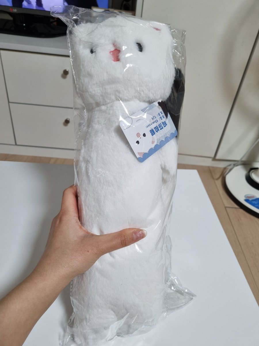 cyl1776's tweet photo. 다므기샵에 족제비인형 샀던거 도착했움!

잘 때 안고 자야만.. https://t.co/taJlZhaxHK
