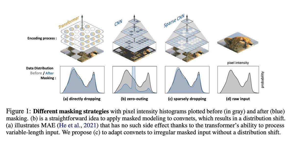 Dmytro Mishkin 🇺🇦 tweet media