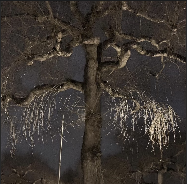 ṨωᵉᵉeƤ☻ | BLM (@sweeep_) on Twitter photo Dreams Come Through Stone Walls by me and <a href="/outbysixteen/">outby16</a> dropping on Friday the 13th! 🦇 
It's the first single of our upcoming ambient album. 
Presave here: gate.fm/FGEYUvvv Dreams Come Through Stone Walls by me and <a href="/outbysixteen/">outby16</a> dropping on Friday the 13th! 🦇 
It's the first single of our upcoming ambient album. 
Presave here: gate.fm/FGEYUvvv