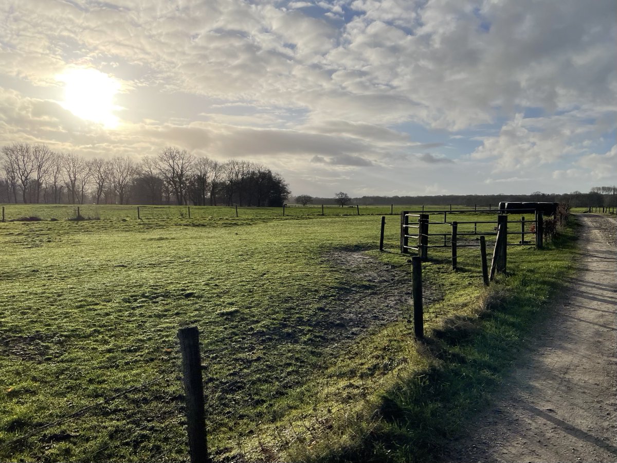 Bart Scheerder tweet media