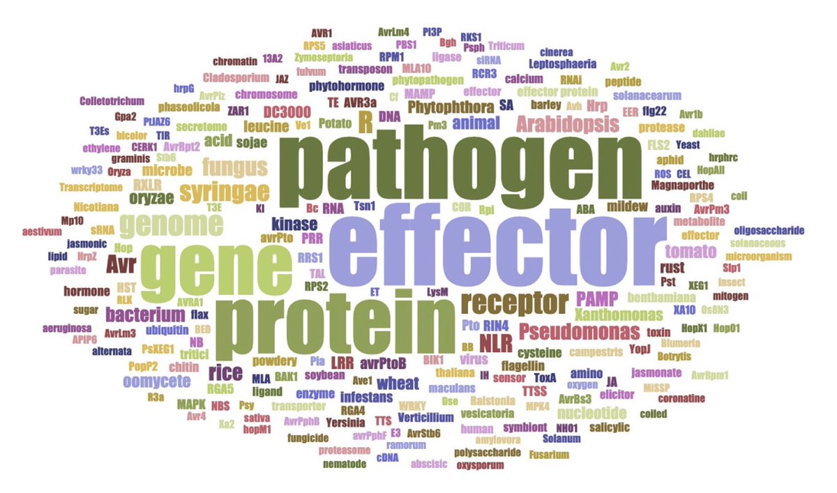 PestinfoW's tweet photo. Highly influential studies on #PlantDisease effectors, review of 249 publications (2000 - 2020), analysis and research trends by @ClementineLt, @SebbyRust, @pascal_frey and Benjamin Petre in @FrontPlantSci - https://t.co/CGU5Txv47T https://t.co/JBAl4gh4vJ