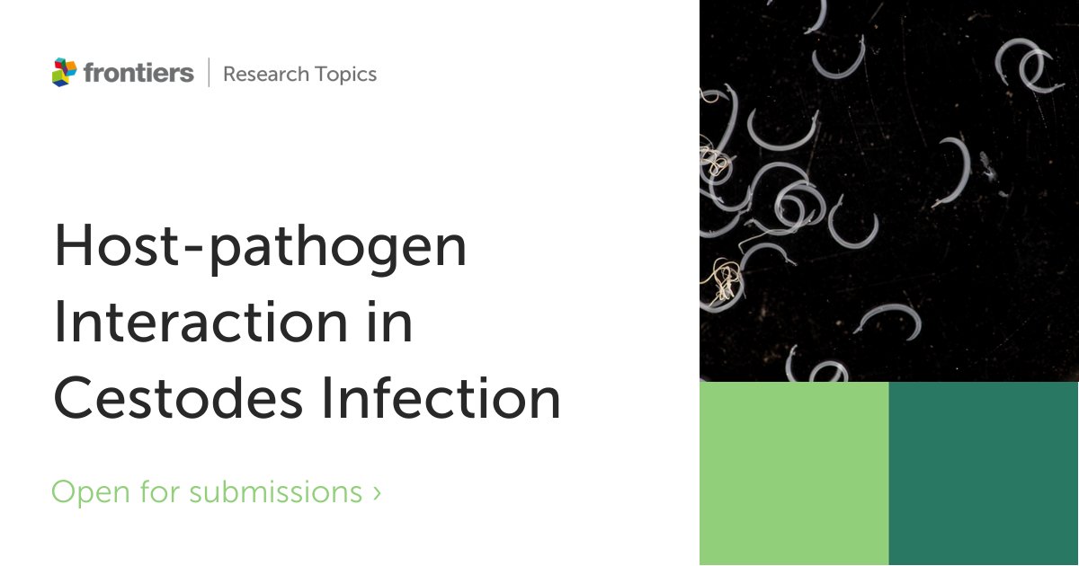 FrontInfectDis's tweet photo. 📣 Submission is still open for papers to highlight current research investigating host-pathogen interactions in cestode infections. #cestode #parasite #infection
See more about the research collection👉 https://t.co/JJ0dgllhr5 https://t.co/NmSZsEBY4l