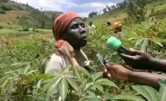 Jeff Ngobeni tweet media