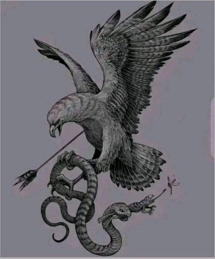 Mayor Of Calabar tweet media