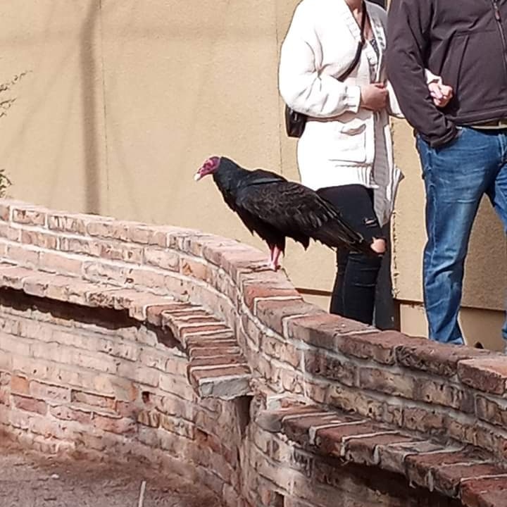 DrakeFowler18's tweet image. 