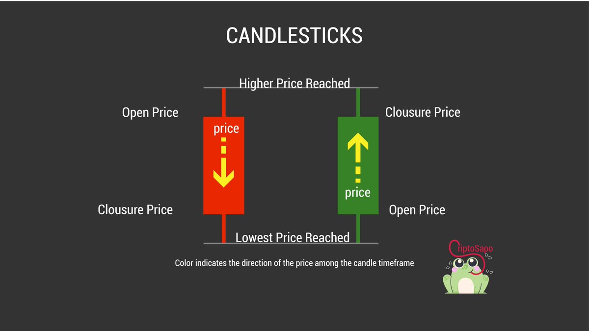 MrS. Criptosapo tweet media