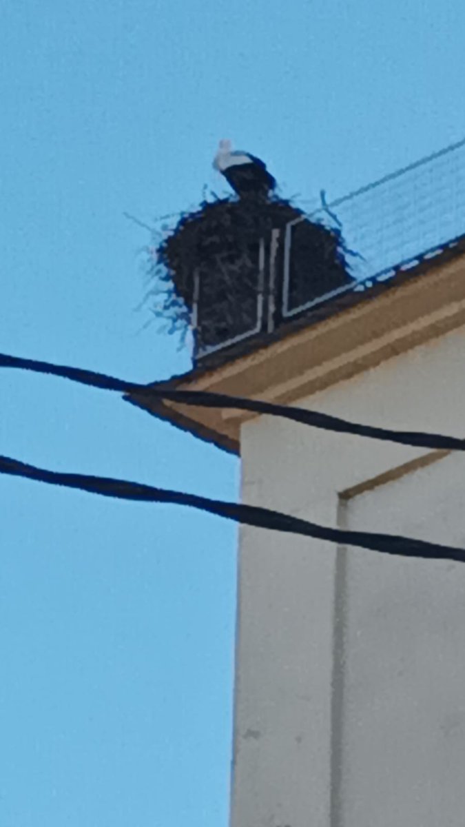 pardinyal's tweet photo. @PardinyesM @minutron @ElPeriodico_Esp Ens falta una escalador amb experiència per penjar-se a les sitges i protegir les cigonyes. https://t.co/98xrifwBtr