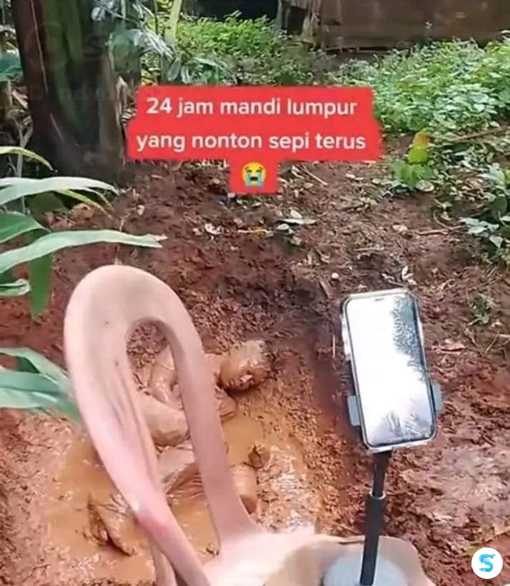 sbyfess's tweet photo. Semoga warga tiktok semakin pintar buat gak ngasih panggung buat orang2 kek gini -rek https://t.co/aj8ZQVQW1r