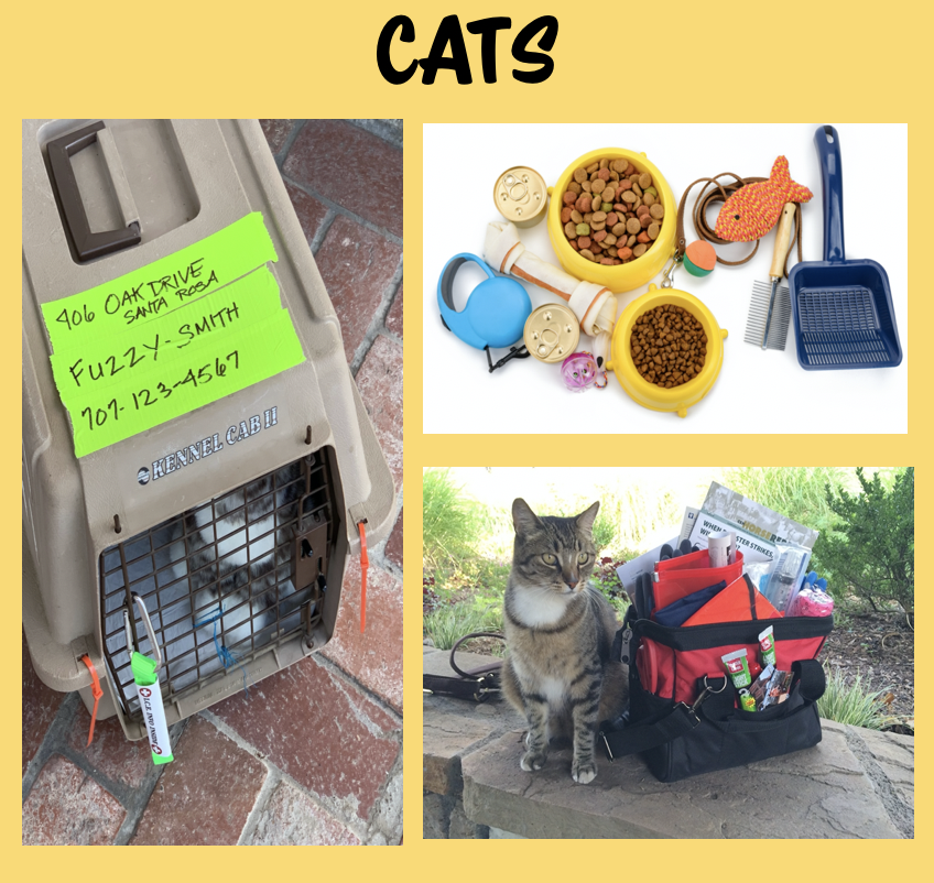 halterproject's tweet photo. Quick Overviews and Examples of Ready-Kits for cats, dogs, equines, birds fish and reptiles also create a Ready Kit for your barn & ranch and for your car or truck! Visit the #HalterProject website for more in-depth information: https://t.co/7QFCA9E36N #ReadyForWhatever https://t.co/Y0Fz3UCrbA