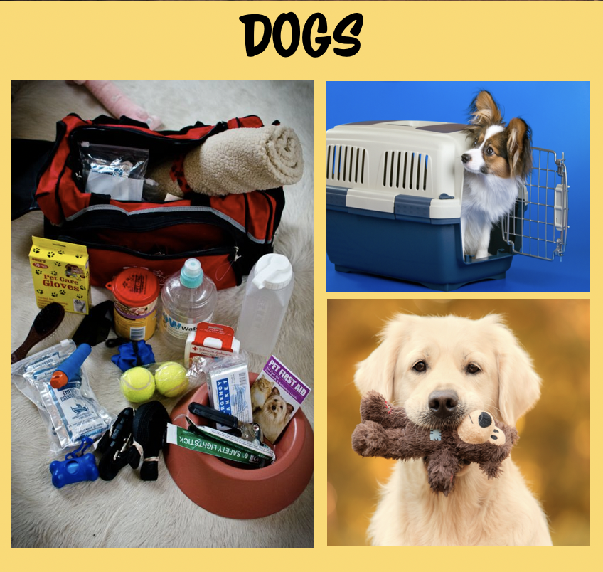 halterproject's tweet photo. Quick Overviews and Examples of Ready-Kits for cats, dogs, equines, birds fish and reptiles also create a Ready Kit for your barn & ranch and for your car or truck! Visit the #HalterProject website for more in-depth information: https://t.co/7QFCA9E36N #ReadyForWhatever https://t.co/Y0Fz3UCrbA