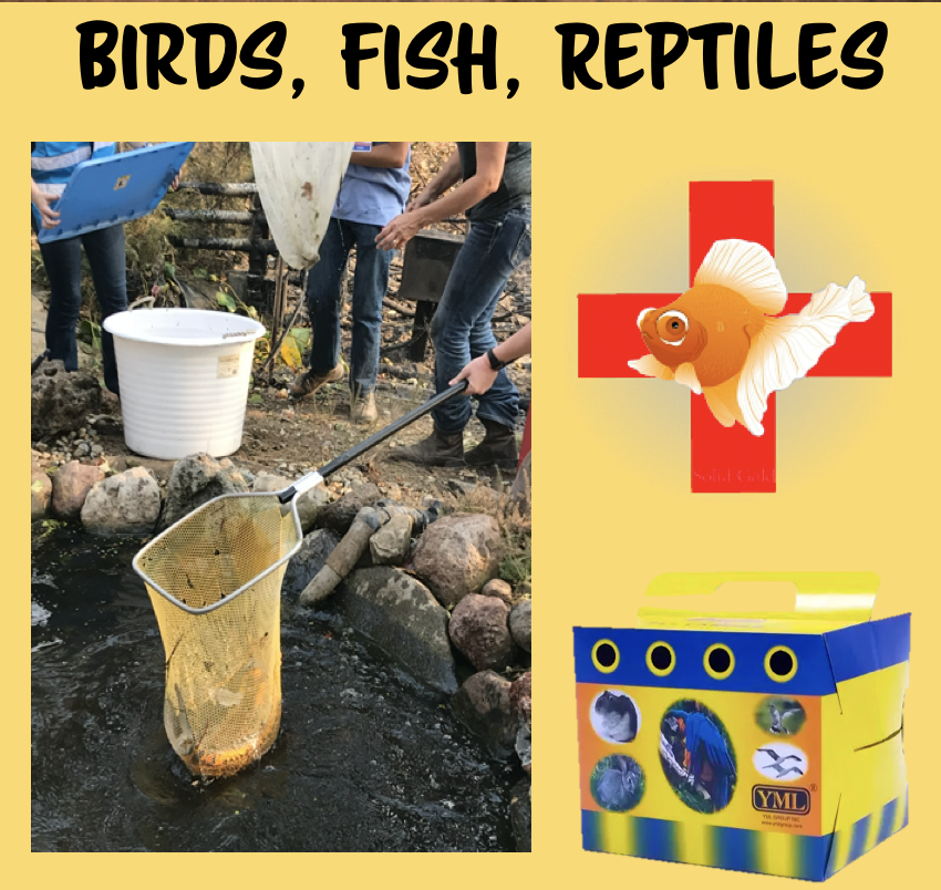 halterproject's tweet photo. Quick Overviews and Examples of Ready-Kits for cats, dogs, equines, birds fish and reptiles also create a Ready Kit for your barn & ranch and for your car or truck! Visit the #HalterProject website for more in-depth information: https://t.co/7QFCA9E36N #ReadyForWhatever https://t.co/Y0Fz3UCrbA