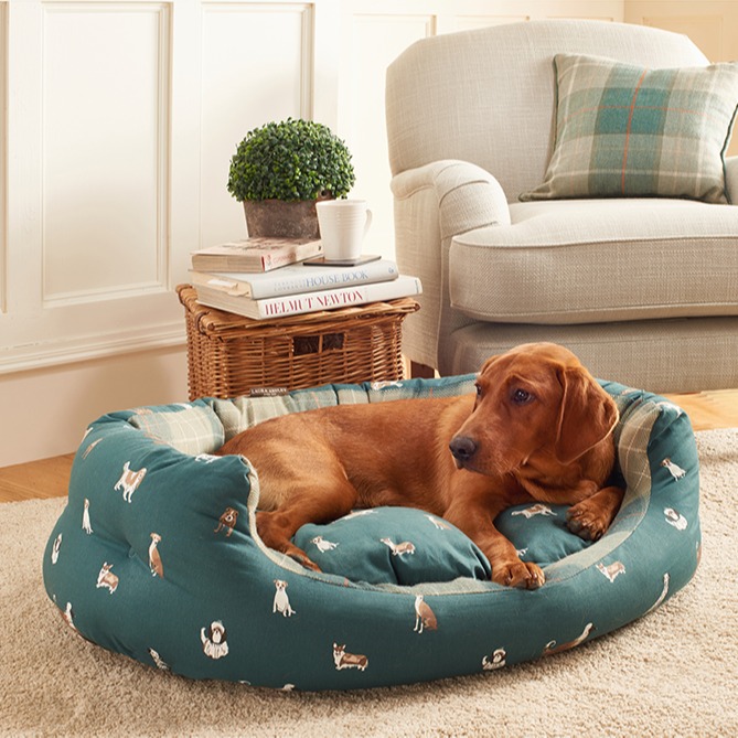 Laura Ashley tweet media