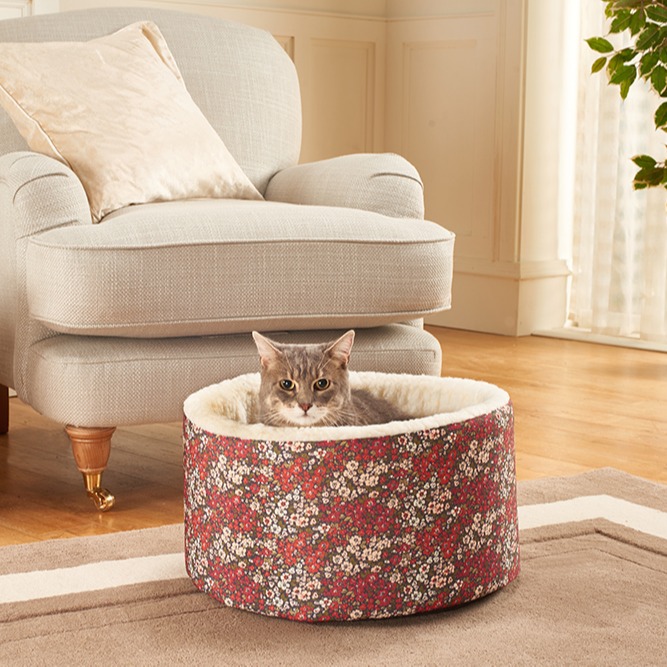 Laura Ashley tweet media