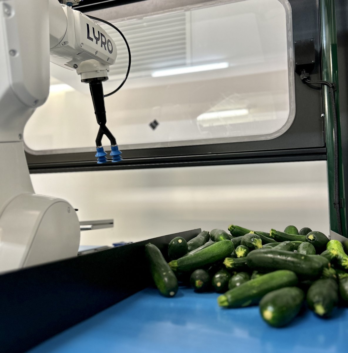 LYRO_robotics's tweet photo. Our robots are gearing up for a big 2023! Avocado, Capsicum, Eggplant Sweet Potato &amp; Zucchini will be packed #robotically for the first time in Australia this year. Contact us now to book for your season! https://t.co/tLpIagPzYZ