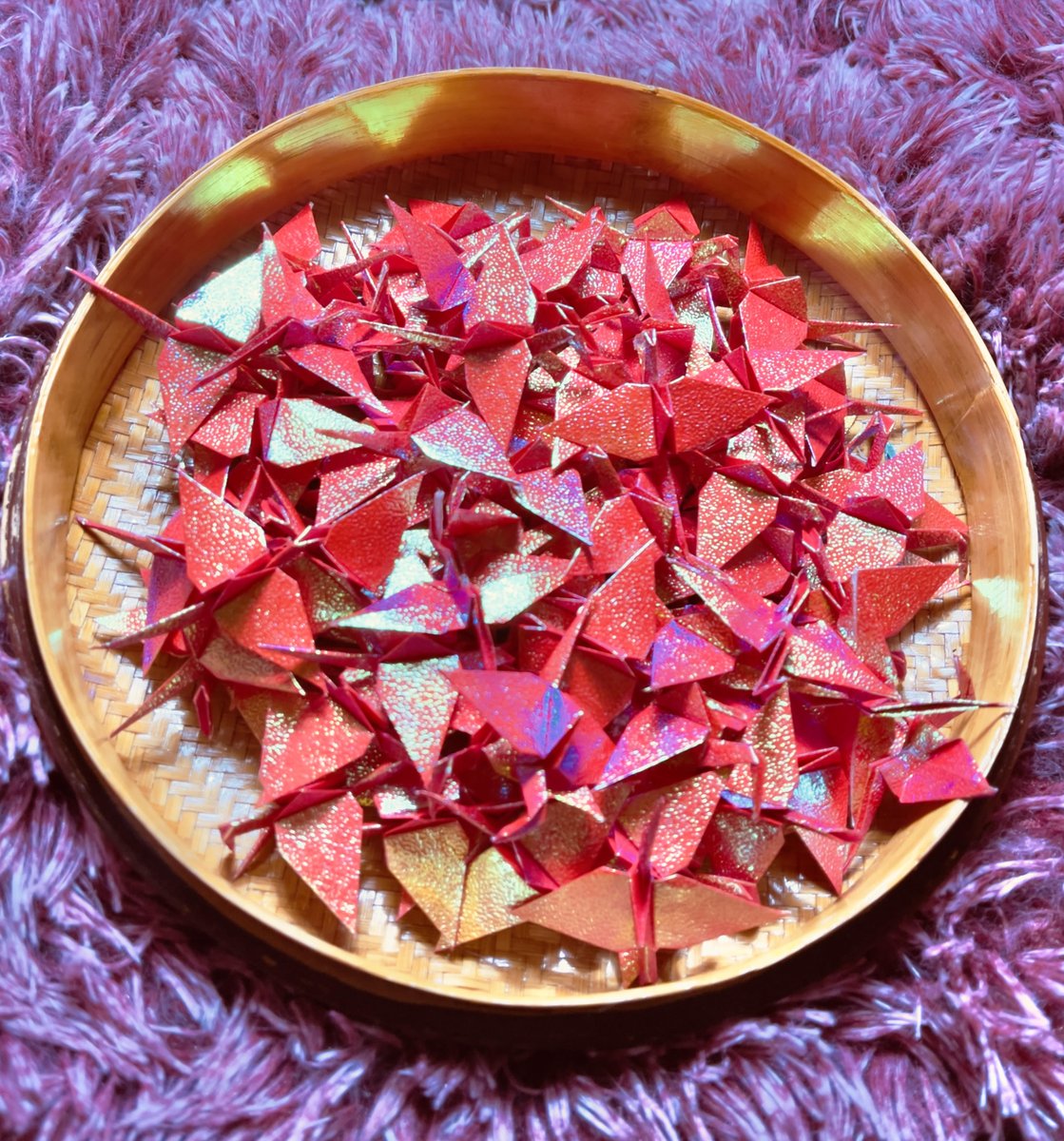 LynBanas's tweet photo. ℒ~ Another 99 Healing Origami Cranes completed today...2079 #OrigamiCranes #GuidedMeditation #MantraJapa #YogaTherapy #meditation #origami #crane #yoga #therapy https://t.co/ExBgbJEm8T