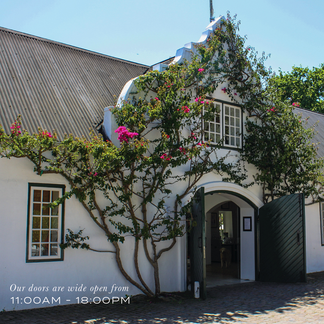 peterfalkewines's tweet image. Who said you could only go to a wine farm on weekends? Here at Peter Falke Wines, our doors are wide open, seven days a week from 11:00 - 6pm. Come and join us for a summertime soiree. 

#PeterFalkeWines #DrinkWine #MidweekEscape  #CapeWinelands