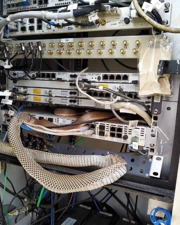 hackinarticles's tweet image. Python in Networking
#infosec #cybersecurity #cybersecuritytips #pentesting #oscp #redteam #informationsecurity #cissp #cybersecuritytips