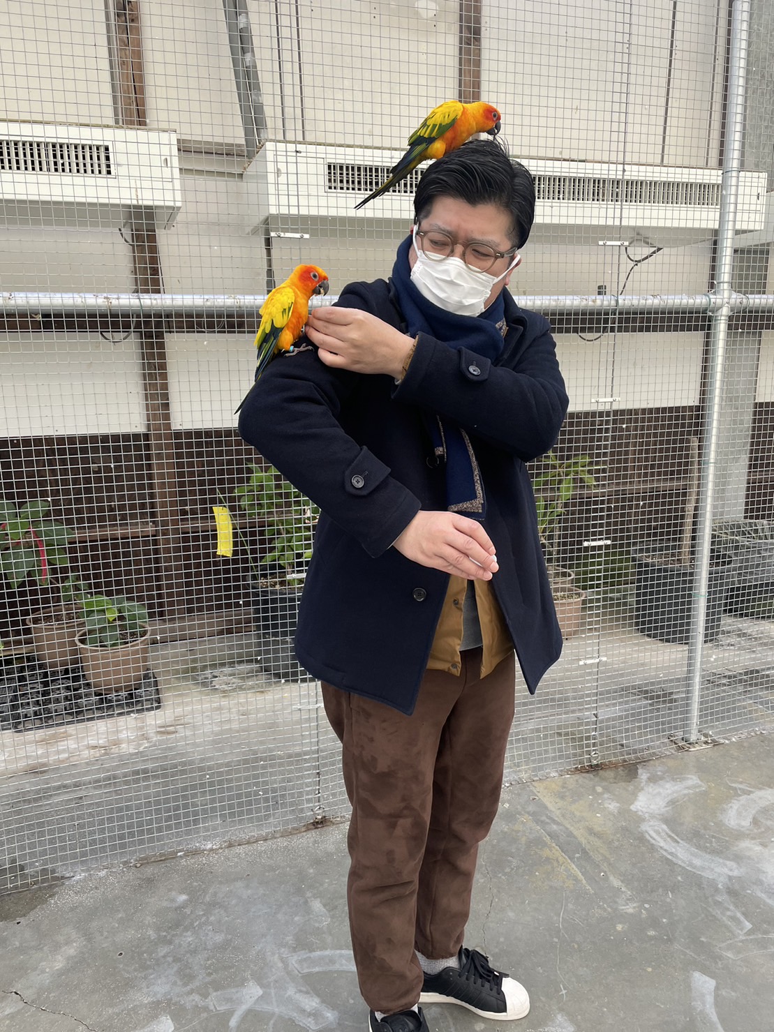 プリキュアおじさん Precureojisan Twitter