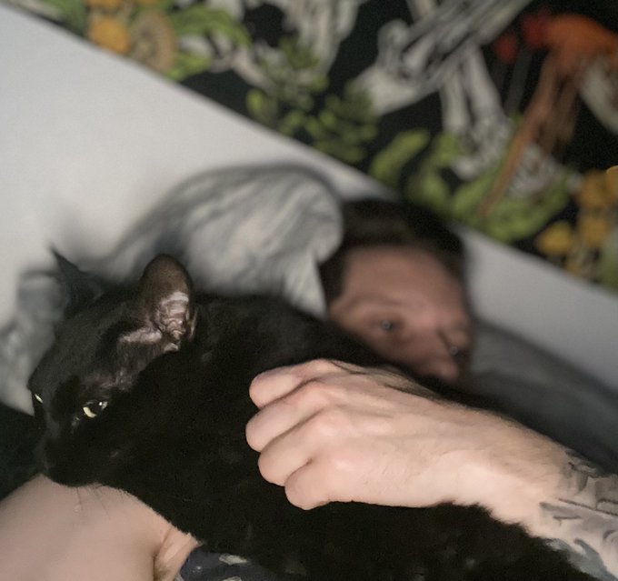 He has gotten so freaking massive. Little bugger used to fit in my palm. Now barely can lay on my chest<a href="/tag/newprofilepic"class="tags"><span>#newprofilepic</span></a>