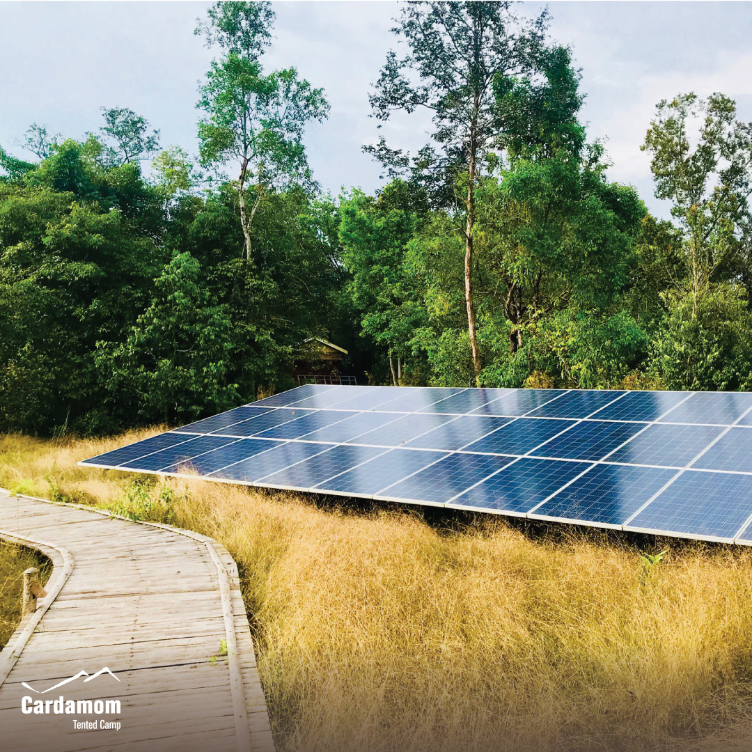 cardamomtent's tweet photo. Our tented camp in the Cardamom mountains is sustainably powered by solar energy, just like the surrounding trees in this beautiful region.

Book now: https://t.co/aNdI3X6xlf

#CardamomTentedCamp #travel #sustainable #ecotourism #RestarTourism #YourStayKeepstheForestStanding https://t.co/JDyMwekdLX