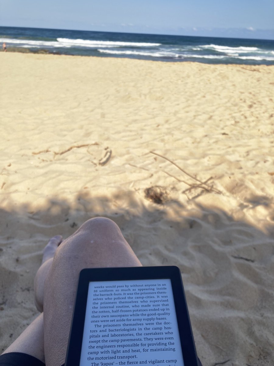 dimevets's tweet photo. Evening at the beach with #LifeAndFate #Grossman23 https://t.co/izpliMOikK