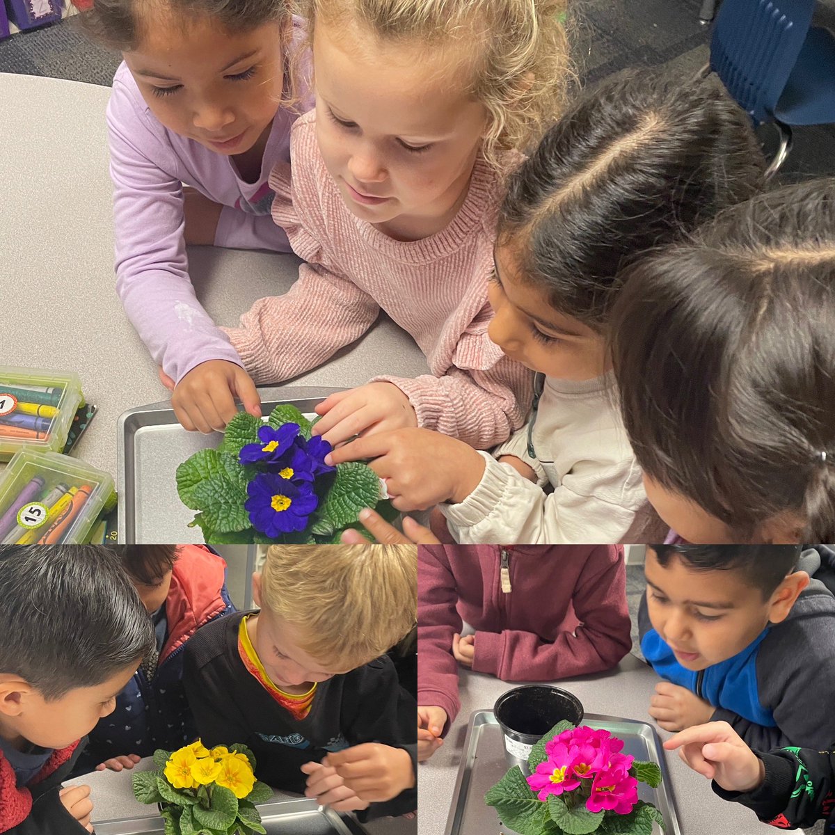 DanielTodd_'s tweet photo. It may have been a rainy day, but I saw a lot of big smiles and so much learning as I visited classrooms and observed instruction today! ☔️ 📚 😃 https://t.co/uZNAjSls9w
