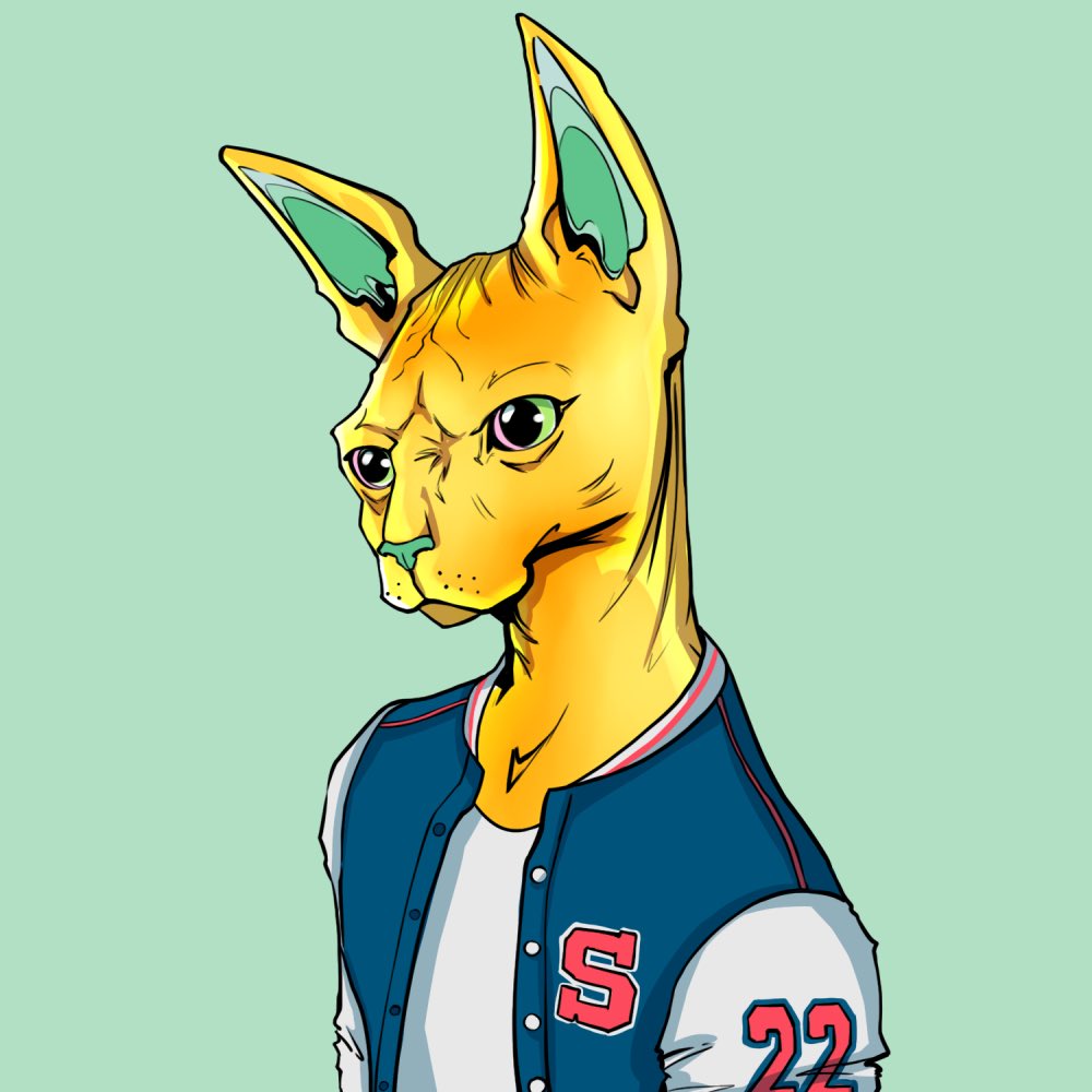 Who ever is Sleeping on @TheSphynxUS will regret later!
We have something nice coming up! 
Merch/Jewelry &amp; much more! 
Stack your #NYAW now!