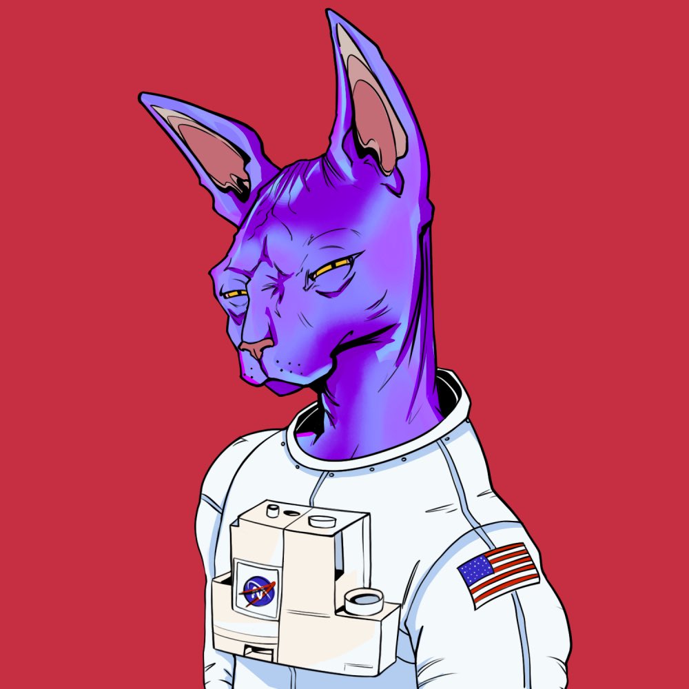 FaRaaZ141's tweet photo. Who ever is Sleeping on @TheSphynxUS will regret later!
We have something nice coming up! 
Merch/Jewelry &amp; much more! 
Stack your #NYAW now! https://t.co/cYSDjnAgXg