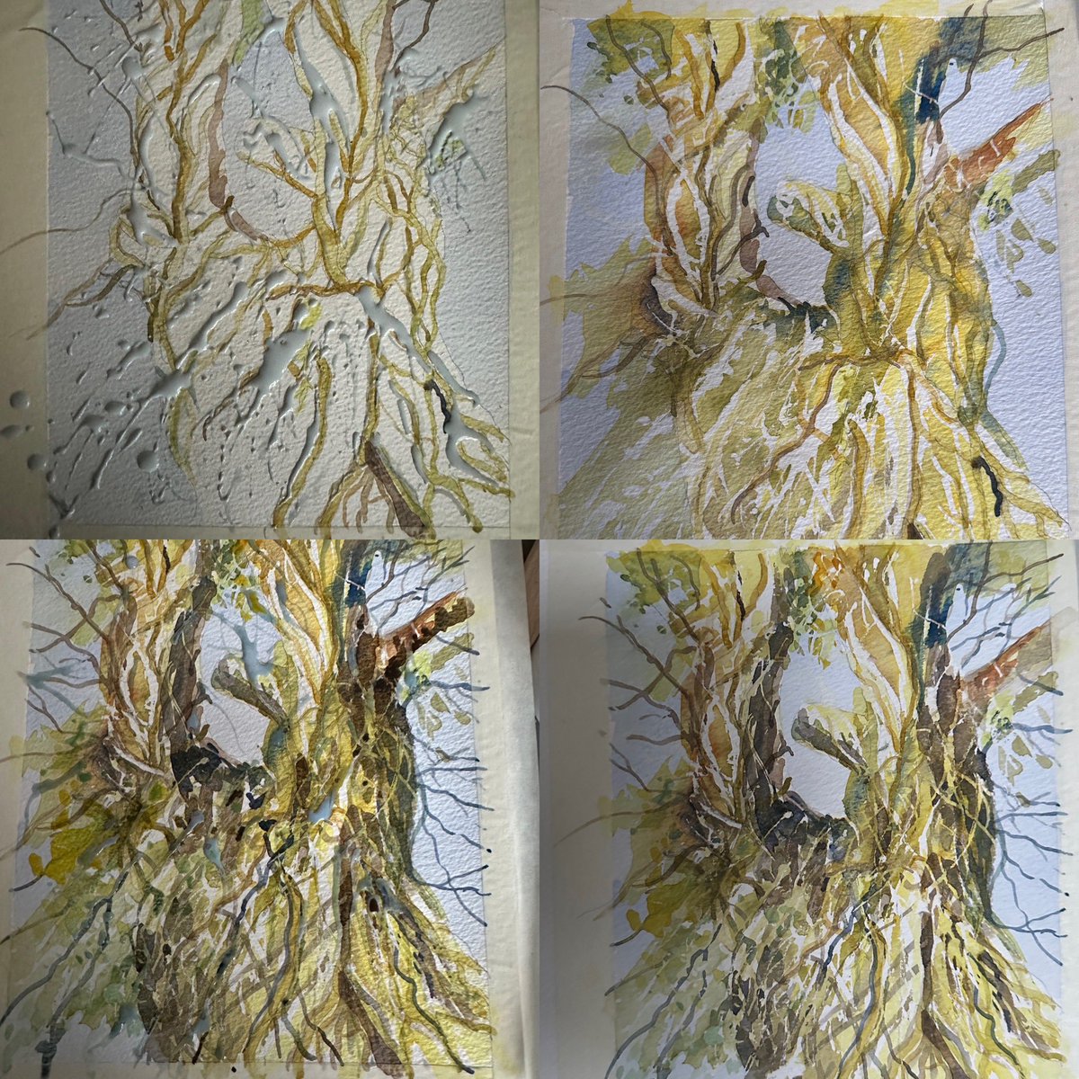 staithesartist's tweet photo. Stages of ‘The Old Tree.’ Ivy covered tree #Yorkshire Dales #watercolour #maskingfluid Still a #WIP https://t.co/bMFxAAAISi