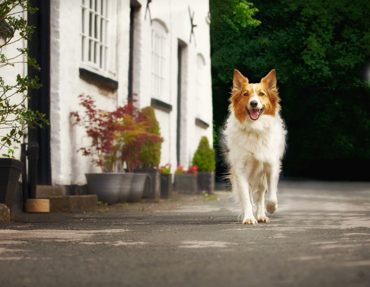 Nicki Cameron - Personal Brand Photographer tweet media