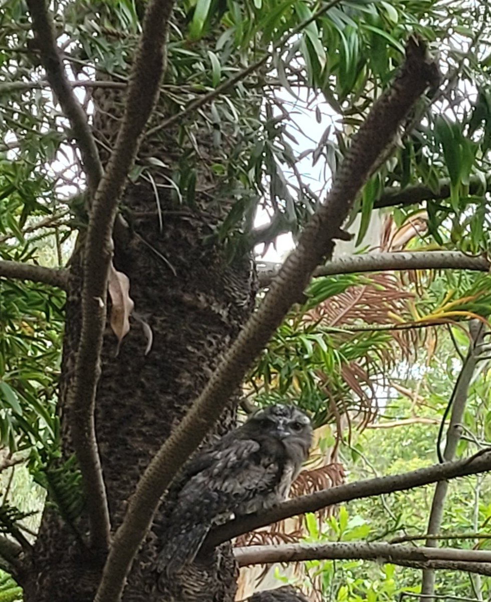 Dr Emily Don (@emilykdon) on Twitter photo Right outside my office today...I call this one "you better not be scrolling twitter on the University's time" Right outside my office today...I call this one "you better not be scrolling twitter on the University's time"