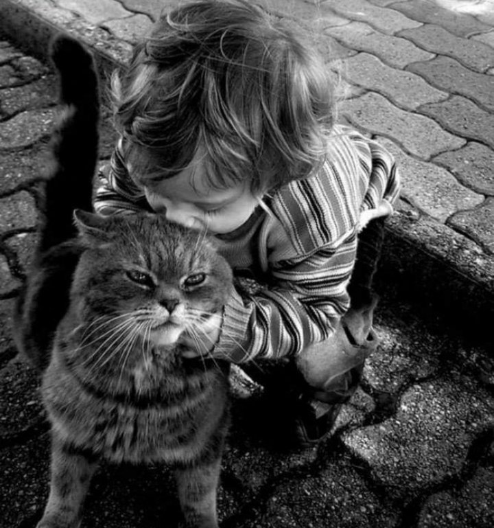 DidemcedidemAt1's tweet photo. birinin bilmediği  bir şeyi bildiğini sanması  cehaletin en utanç verici türü değil midir.
    #Platon 
günaydın☕ #carsamba 🐾 https://t.co/q96Er8nkC6