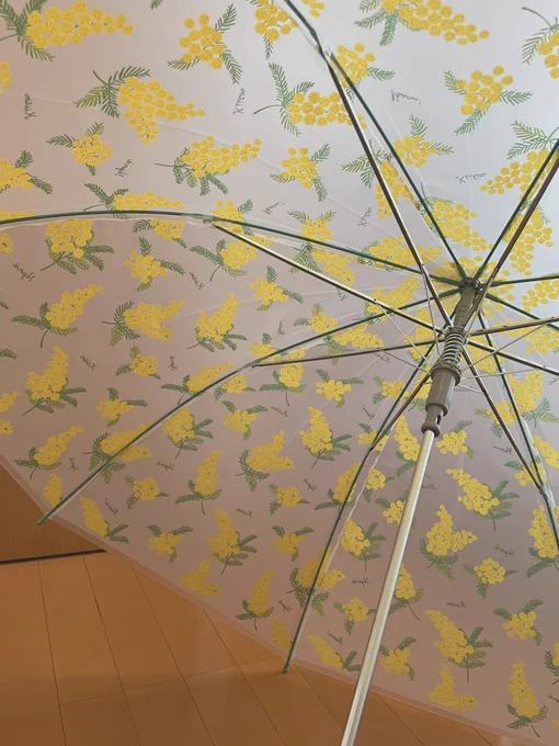 今日はカバンを買いに行ってその時に一目惚れしたビニ傘。ミモザ可愛すぎて。買ってしまった。雨早く降って。 