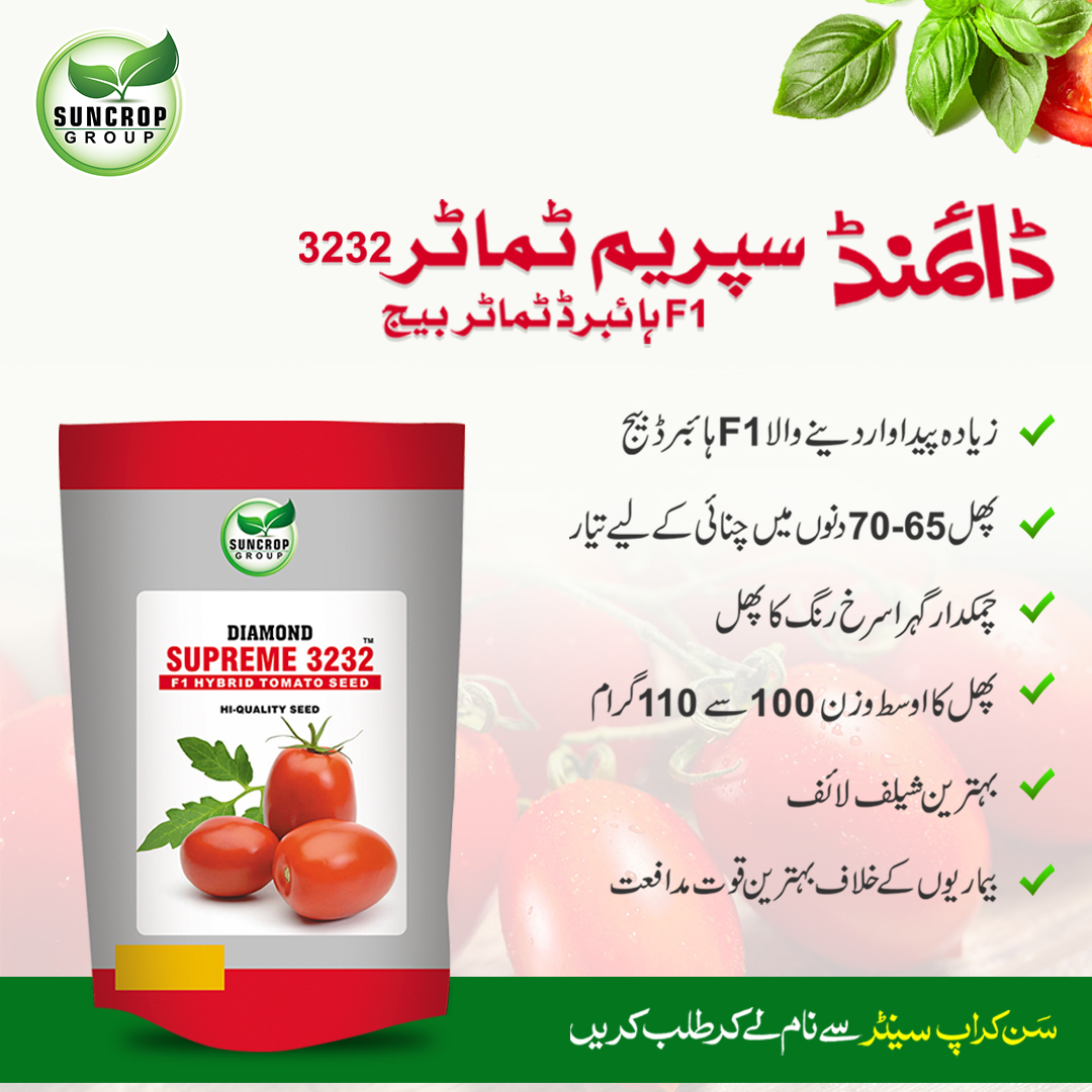 suncrop_group's tweet photo. سن کراپ گروپ کا ٹماٹر کا ہائبرڈ بیج اگائیں اور شاندار منافع کمائیں!
مزید معلومات کے لیے ہماری ہیلپ لائن پر فری کال کریں. ہیلپ لائن:080058000
#profit #diamond #supreme #diamondhybridseed #tomato #vegetables #guidelines #agriculture #suncrop #farmers 
https://t.co/gPvQYv8DH3 https://t.co/C8lWBGYXKk
