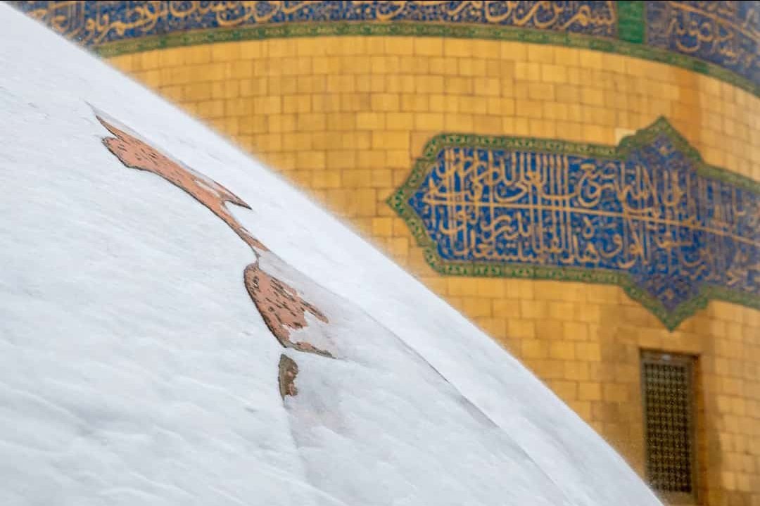 iambutool's tweet photo. Some of today's glimpses of Imam Reza(sa)'s sanctuary. 🥺❤️🌹 https://t.co/pZscWn82AI