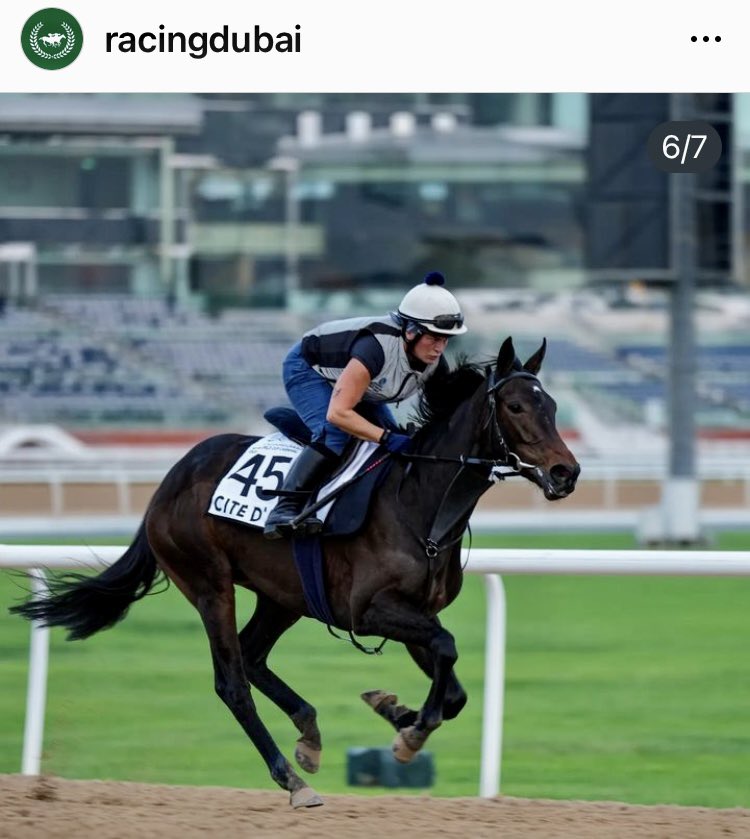 lollypike's tweet image. #citeD’or this morning in #Meydan @H_Eustace @NBradleyRacing @RacingDubai ⭐️